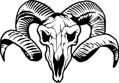 Skull Vinyl Decal Sticker 49