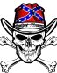 skull with confederate flag hat