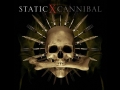 Static X Color Band Decal